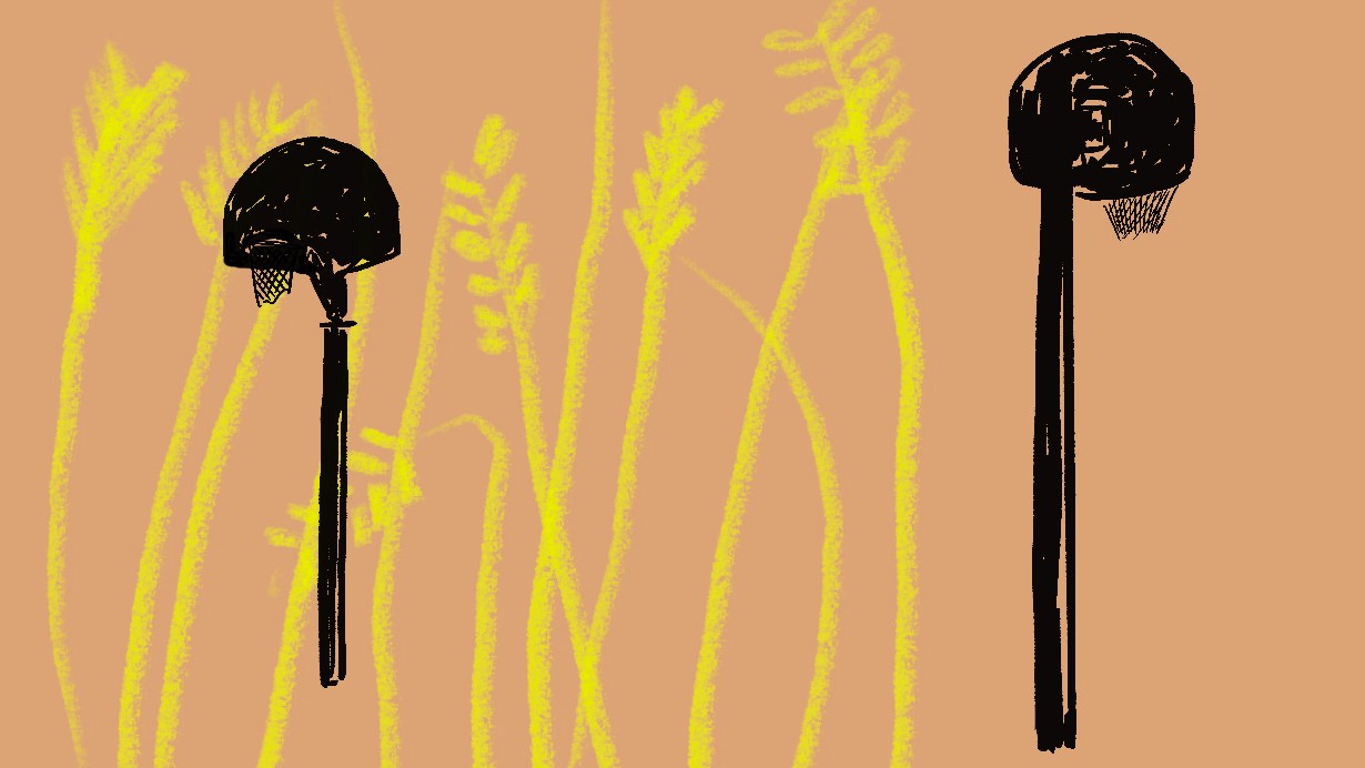Artikelbild