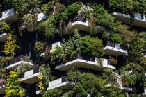 A photo of the outside of an apartment building with white balconies and greenery