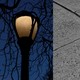 On the left, a photo of a yellow streetlamp against a backdrop of bare, craggly branches and a dark blue sky. On the right, an image of a concrete sidewalk and its seams.