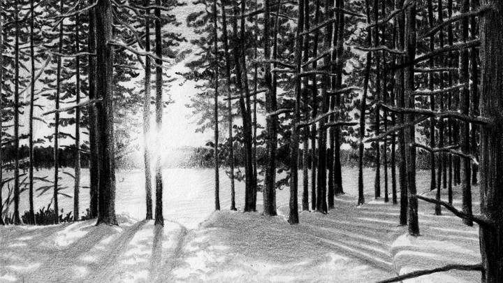 Arna Bontemps Hemenway Wolves Of Karelia The Atlantic