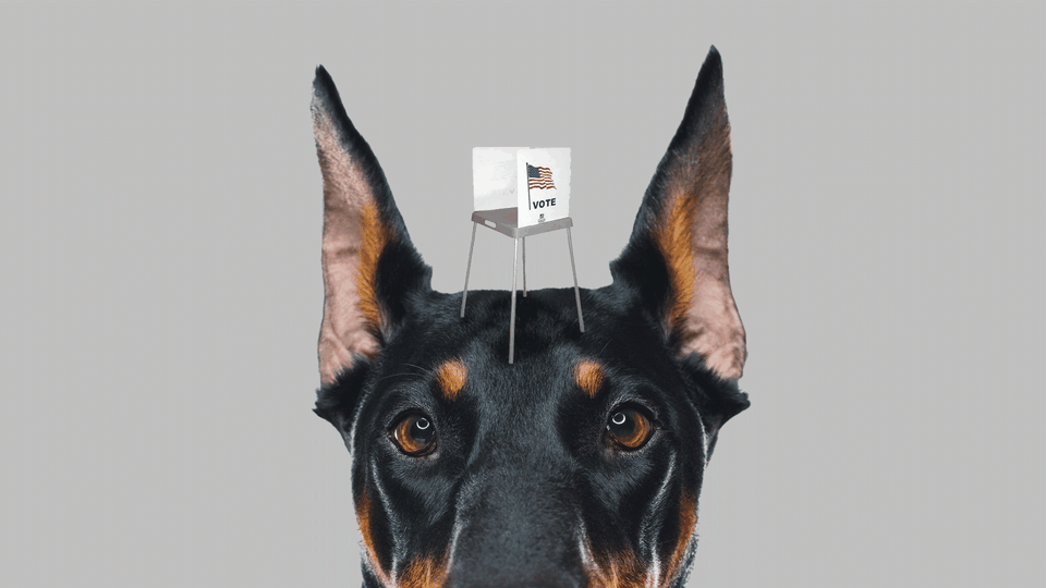 An illustration of a guard dog with a small voting booth on its head