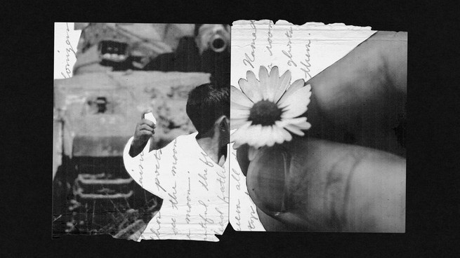 Photo illustration split into two sides, on the left a child throwing something and on the right a hand holding a flower