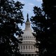 A photo of the U.S. Capitol building clouded by trees