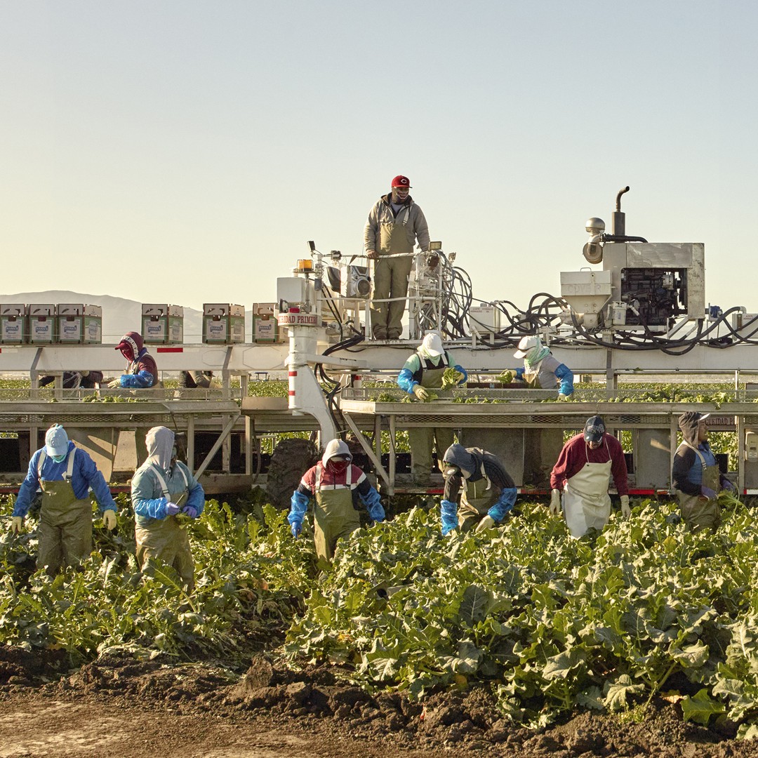 California's farm workers pick America's essential produce