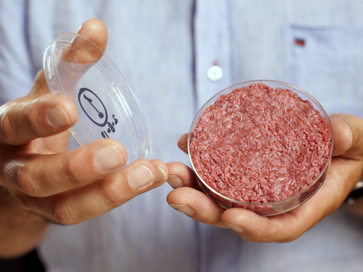 Artificial Meat, Lab-Grown Meat and the Future of Food