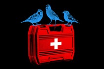 An illustration of three blue birds perched on a first-aid kit