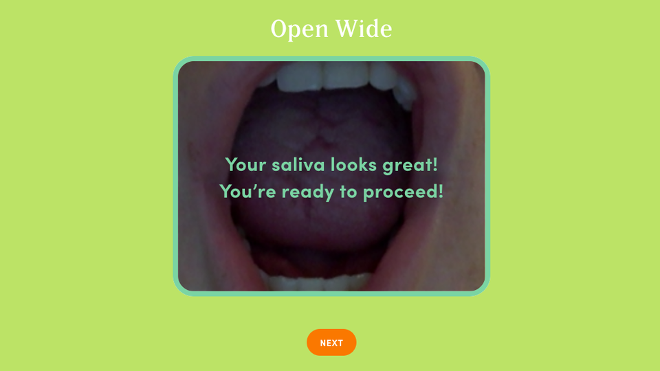 A screenshot of a web page with a photo of a mouth that says, "Your saliva looks great! You're ready to proceed!"