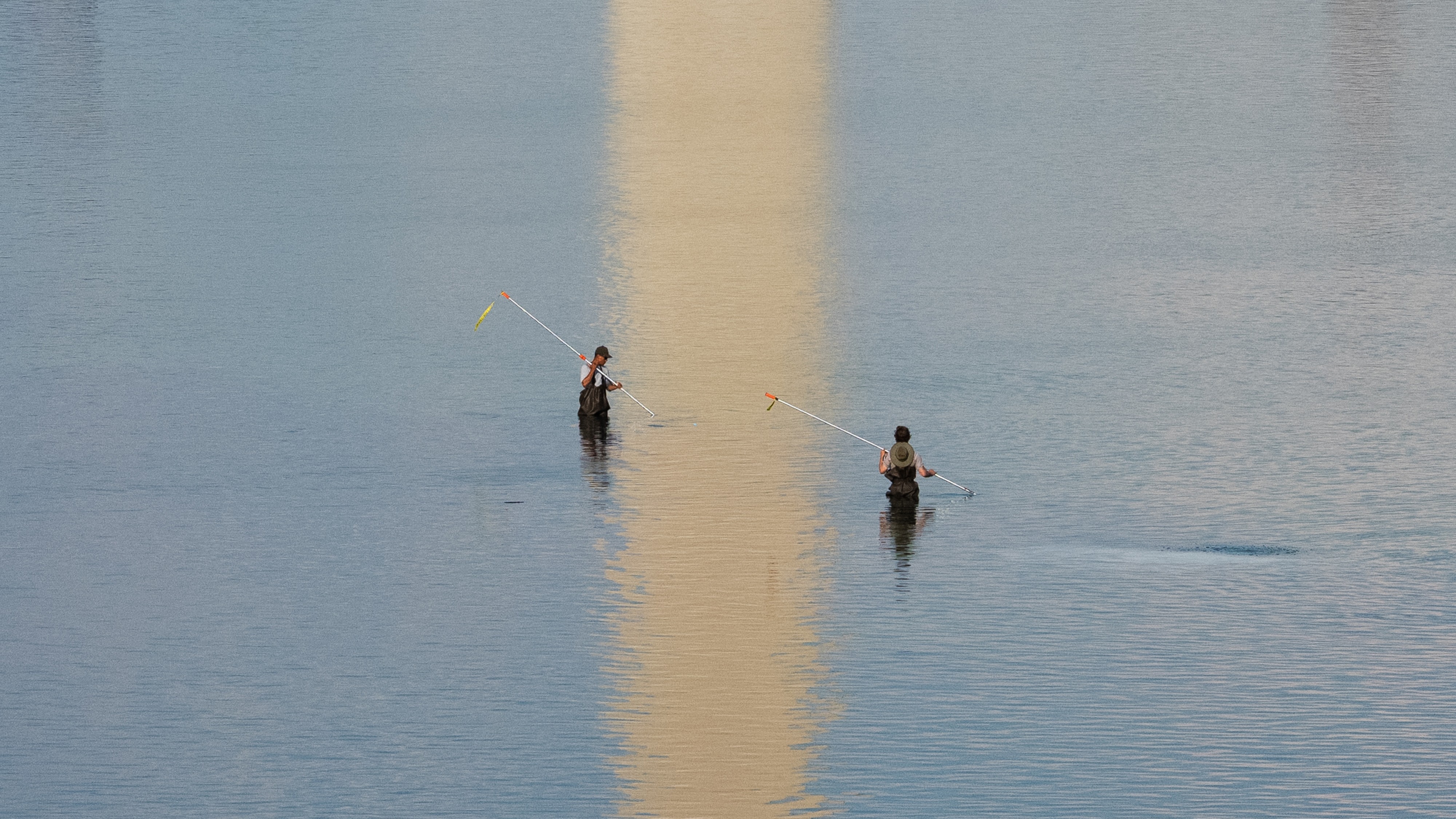 Science Has a Name for What’s Plaguing the Reflecting Pool