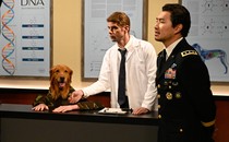 Still from 'Saturday Night Live' featuring SImu Liu in a military uniform, Cecily Strong dressed like a bureaucrat, and Mikey Day dressed like a researcher, all of them surrounding a dog with human hands wearing camouflage