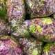 An image of bagged lettuce
