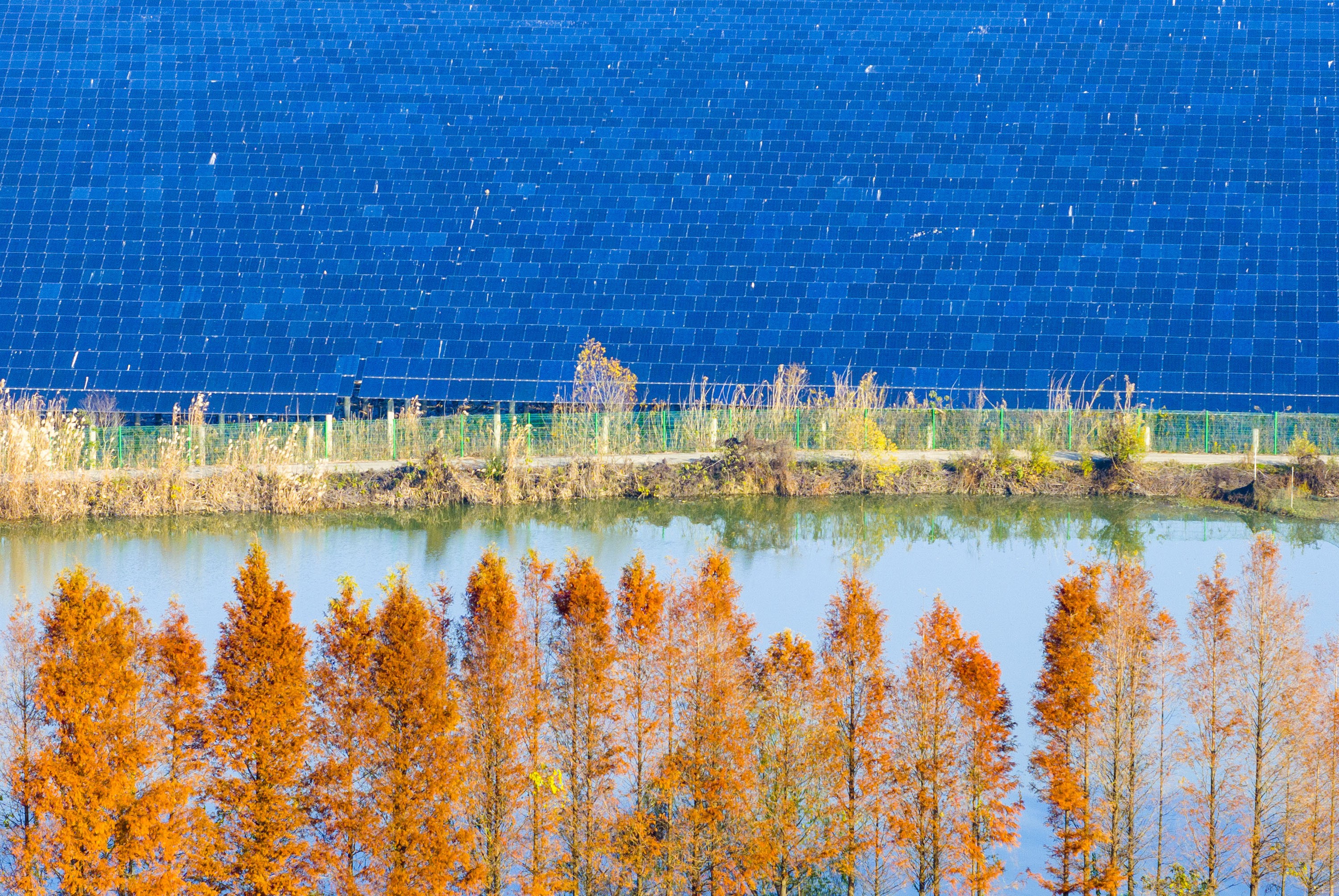An aerial view of rows of solar panels in an installation above a lake