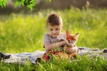 A toddler holds a fox in a grassy meadow