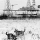 A black-and-white photo of two dogs playing in the snow, an abandoned power plant behind them