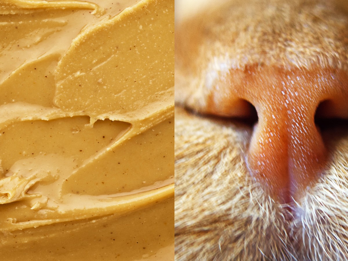 Cats best sale peanut butter