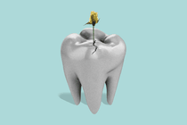 A flower grows out of a cracked tooth.