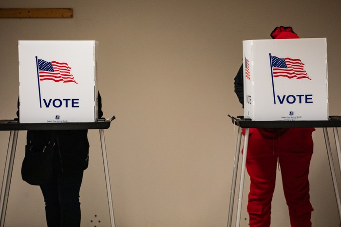 Two voters stand at polling booths