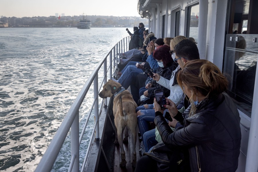 A dog on a ferry looks out through a railing as commuters take photos of him and the scenery.