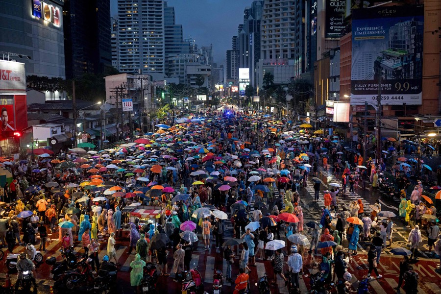 A crowd of protesters fills a city street, carrying many umbrellas.