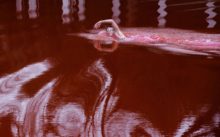 A person swims in blood-red pond water.