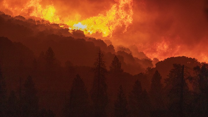 Wildfires