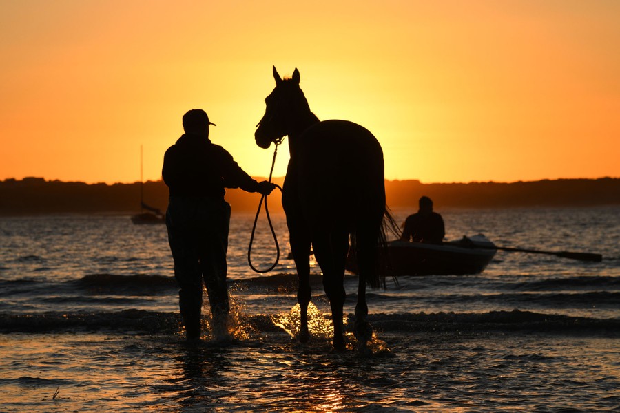 A trainer walks with a horse in shallow surf.