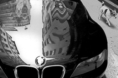 Close-up picture of BMW hood