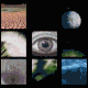 Collage of videos with a human eye in the middle surrounded by natural disasters