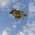 Dollar bills float against a blue sky