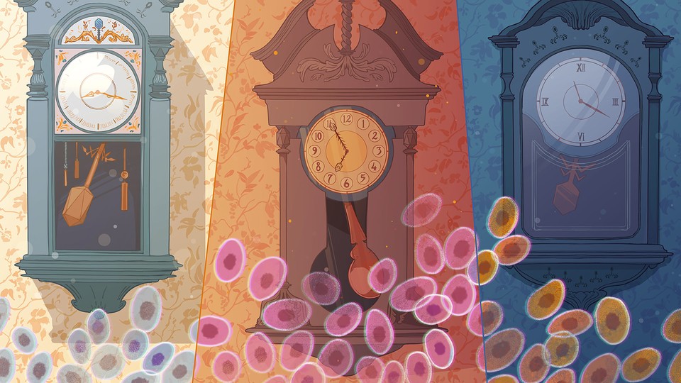 Three illustrated clocks with viruses overlaid.
