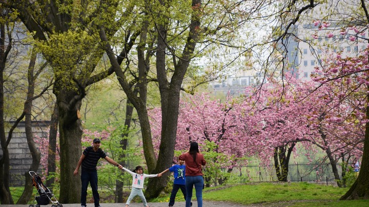 A family plays in Central Park