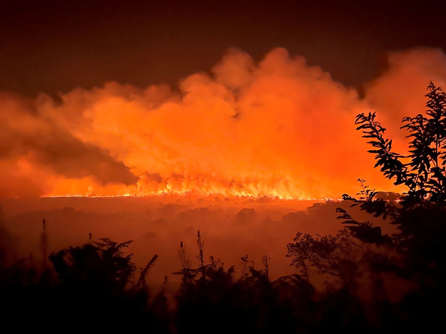A wildfire burns through trees and brush at night.