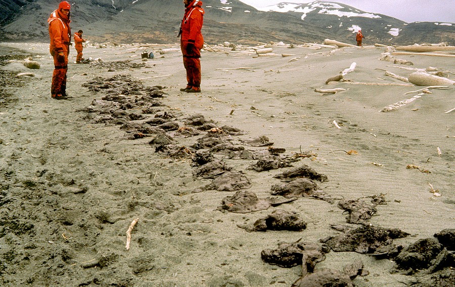 Remembering the Exxon Valdez Oil Spill - The Atlantic