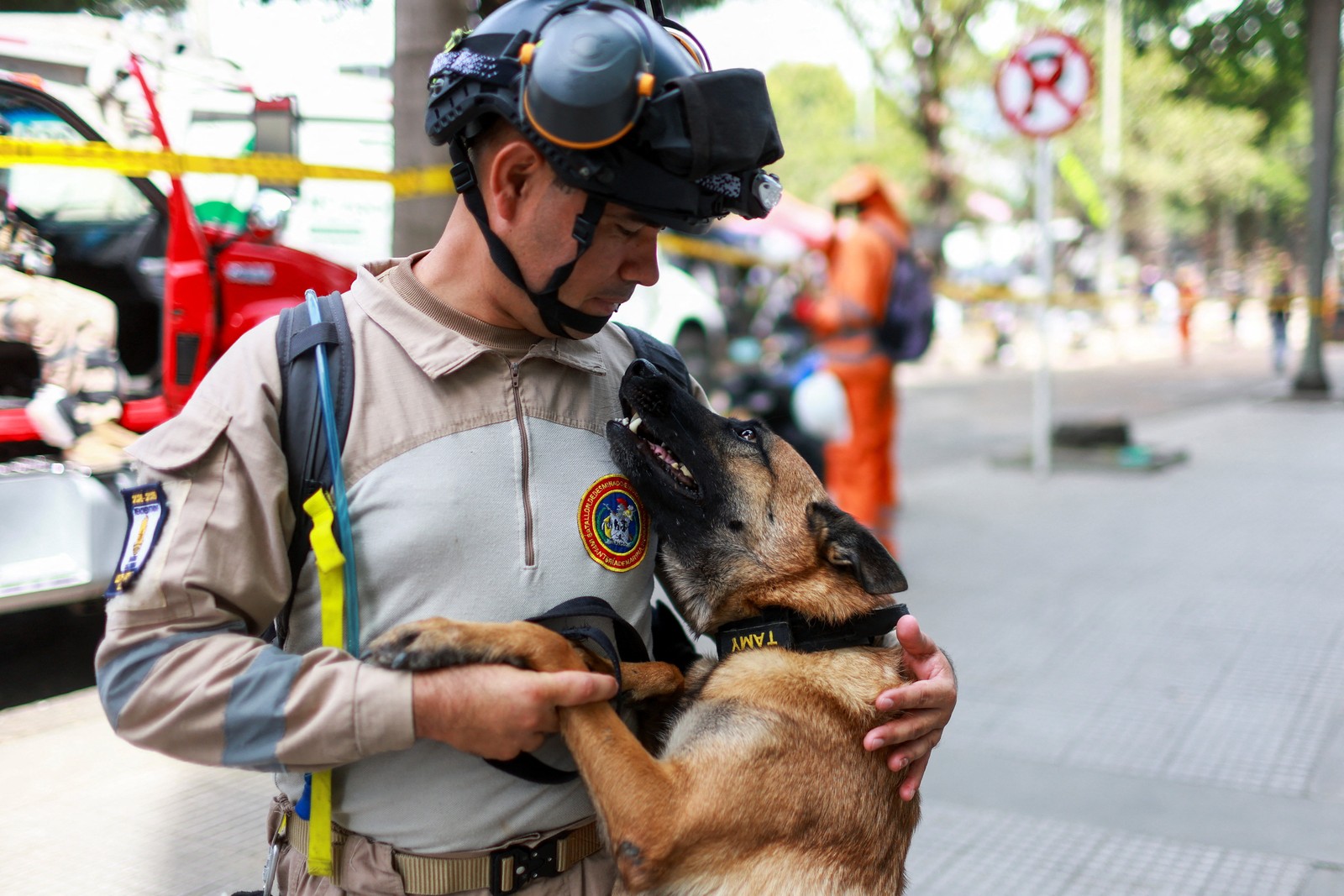 A search-and-rescue dog stands, leaning against its handler, looking up and asking for affection.