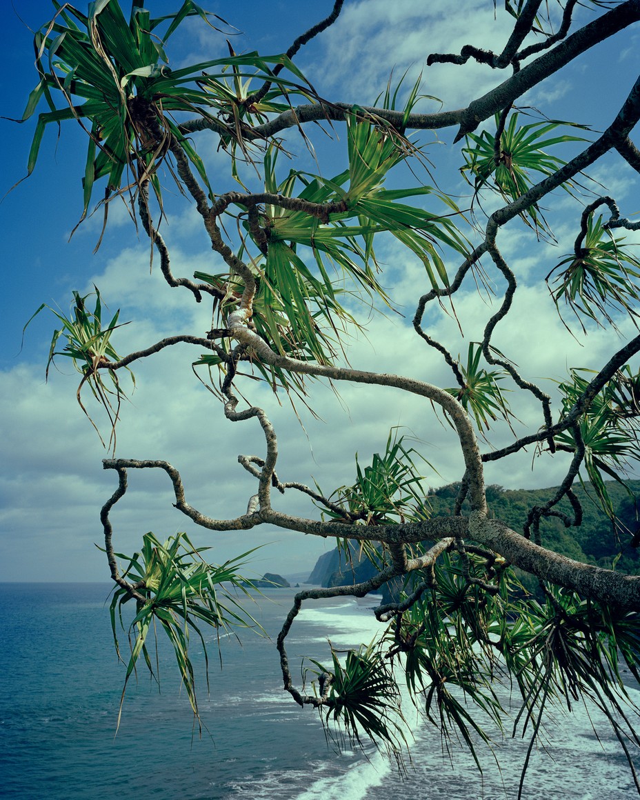 Polōlu Overview Revisited II.jpg