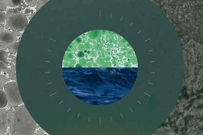 Collage of images of microbes, ocean waves, and a dial