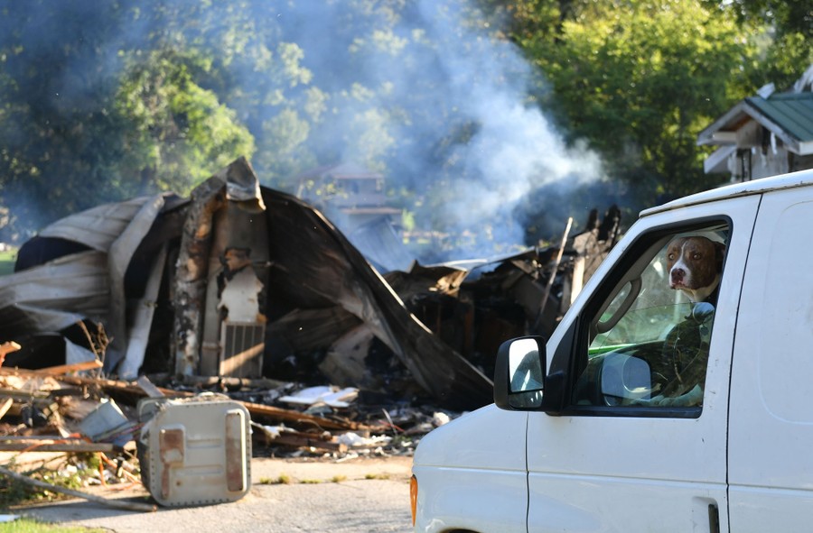 A dog sits inside a van parked near the smoldering wreckage of a building.