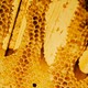 Close-up of a honeycomb