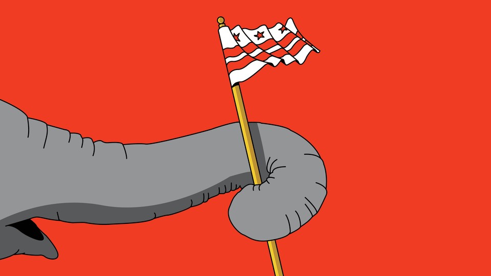 An elephant waving a D.C. flag
