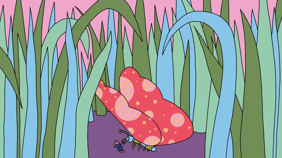 Illustration of a butterfly with red-and-pink wings standing over a miniature human lying down on the purple ground