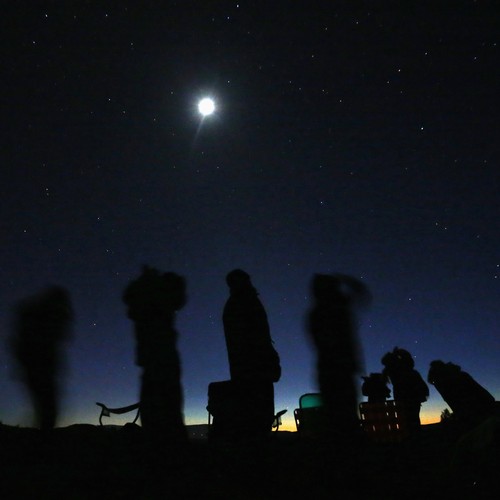 How Psychologists Predict We Ll React To Alien News The Atlantic