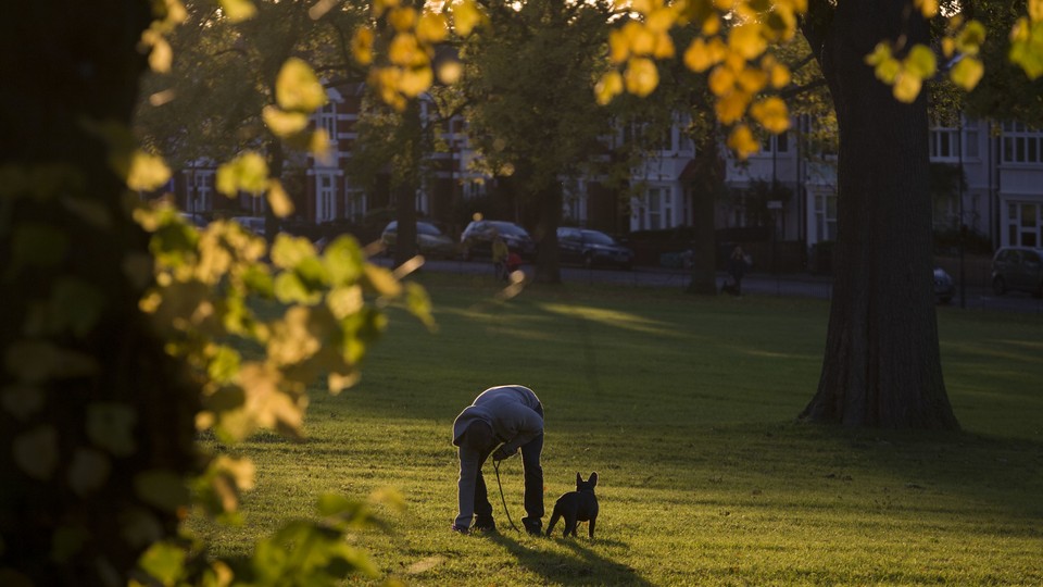 A person stoops to pick up their dog's waste in a park