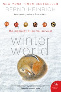 The cover of Winter World