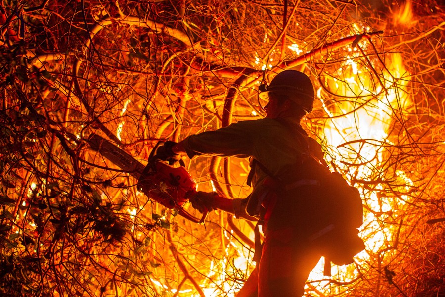 A firefighter uses a chainsaw to cut branches of burning brush.
