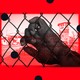 Illustration showing hand holding chain link fence.