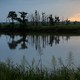 The sun rises on a "ghost forest" near the Savannah River in Port Wentworth, Georgia