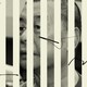 A photo illustration of Jimmy Lai behind bars
