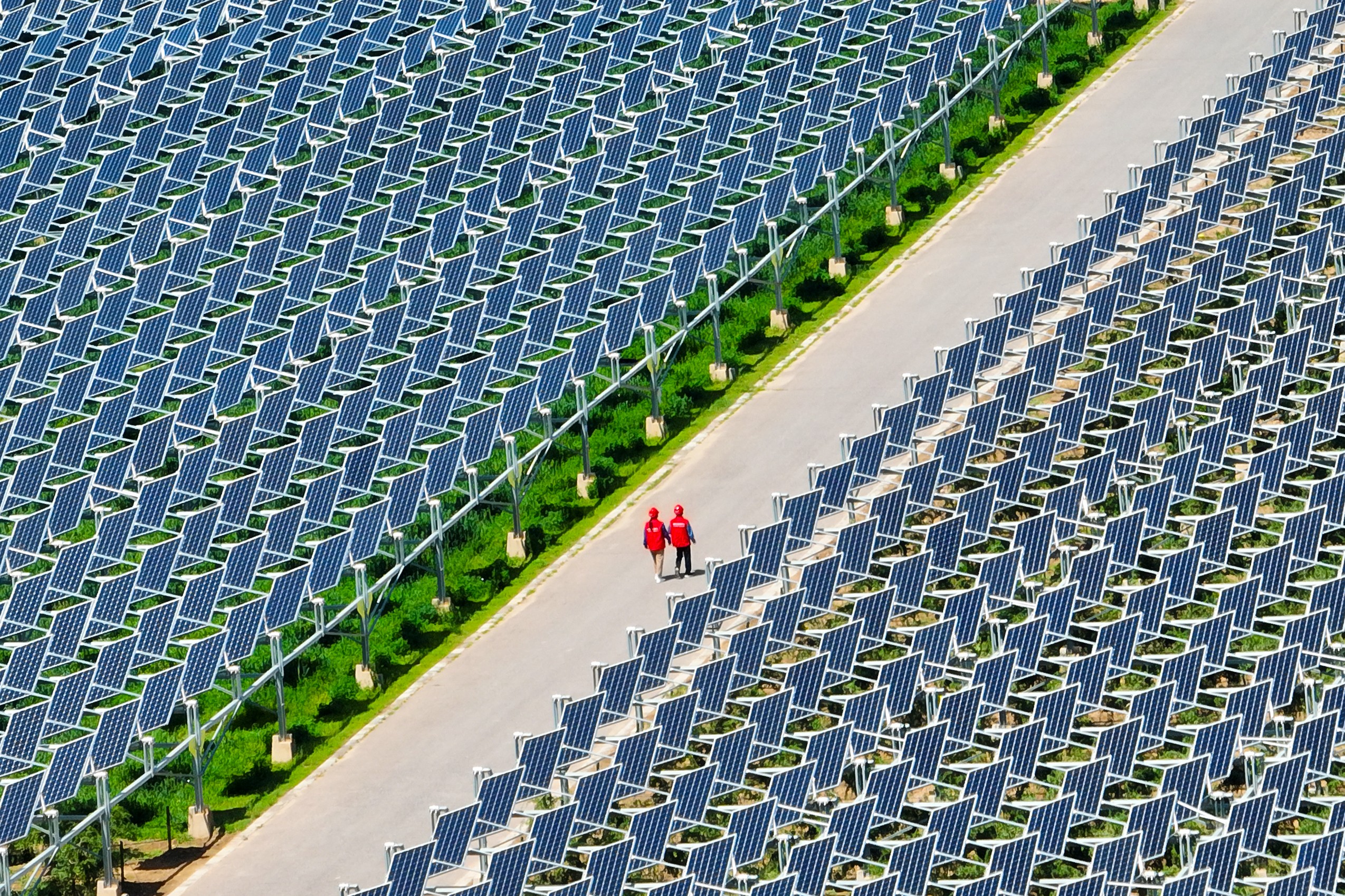 Two workers walk on a path among grids of many solar panels.