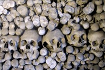 An image of skulls