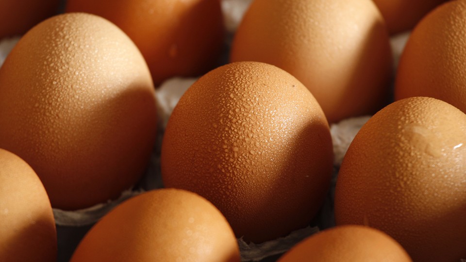 A closeup of glistening brown eggs in a carton