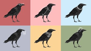 Six crows wearing six different outfits